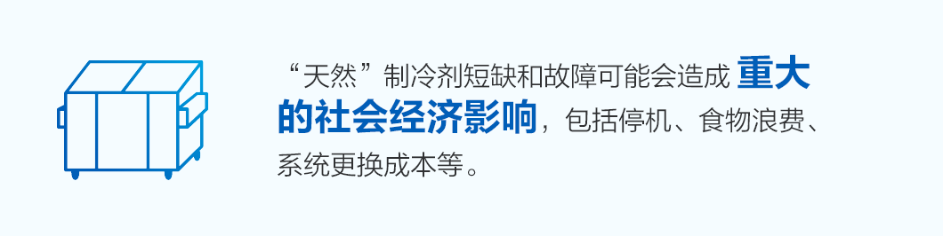 “天然”制冷剂短缺和不足可能会造成重大的社会经济影响，包括停机、食物浪费和系统更换成本等。